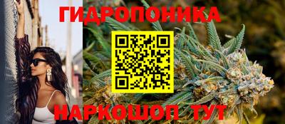стафф Краснодар