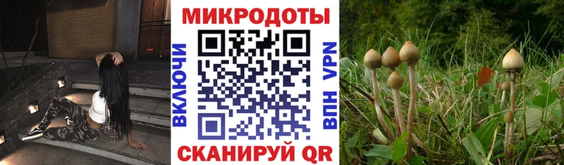 Галлюциногенные грибы Psilocybe  Изобильный 
