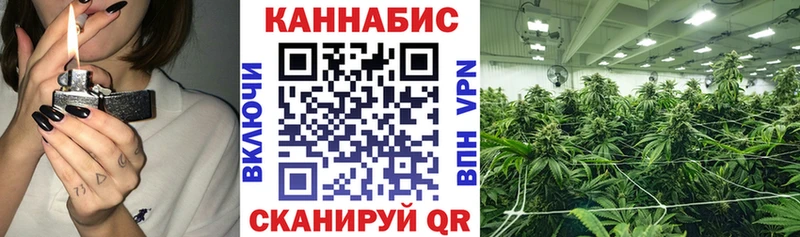 ссылка на мегу ТОР  Изобильный  Бошки марихуана сатива  сколько стоит 